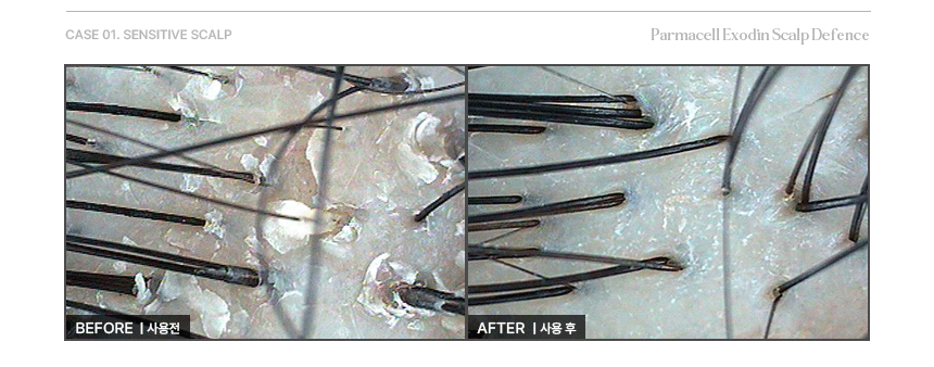 3032e0074c2f938726136eb57e831b58_1726036133_1647.gif 3032e0074c2f938726136eb57e831b58_1726036133_1647.gif